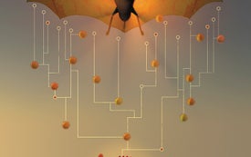How China's 'Bat Woman' Hunted Down Viruses from SARS to the New Coronavirus