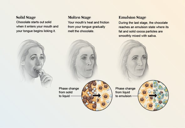 The Science of Melting Chocolate