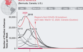 Flu Has Disappeared for More Than a Year