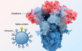 Omicron's Surprising Anatomy Explains Why It Is Wildly Contagious